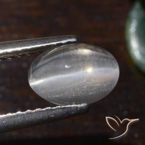 Sillimanita Olho de Gato branco quente Natural 1.54ct, oval, Translúcido