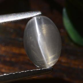 Sillimanita Olho de Gato Cinza muito claro Natural 1.40ct, Corte Oval, Translúcido