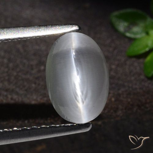 1.51ct Natural Branco Sillimanita Olho de Gato, oval, Transparente