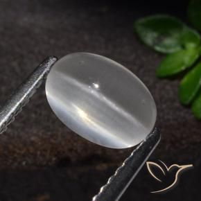 Sillimanita Olho de Gato Branco Natural 1.51ct, oval, Transparente