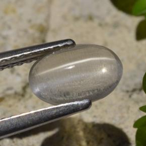 Sillimanita Olho de Gato Fumaça Natural 1.45ct, Corte Oval, Transparente