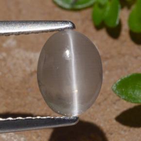 Sillimanita Olho de Gato Fumaça Natural 1.29ct, Corte Oval, Transparente