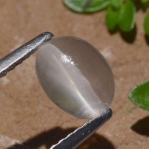 Sillimanita Olho de Gato Fumaça Natural 1.29ct, Corte Oval, Transparente