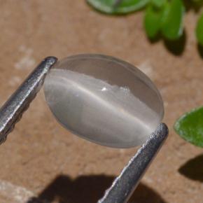 Sillimanita Olho de Gato Fumaça Natural 1.29ct, Corte Oval, Transparente