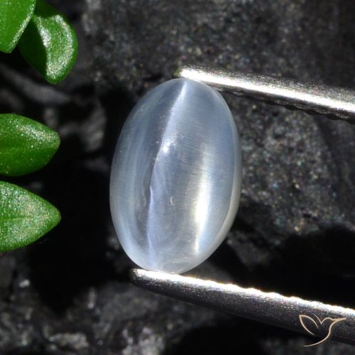1.70ct Natural Claro Sillimanita Olho de Gato, oval, Transparente