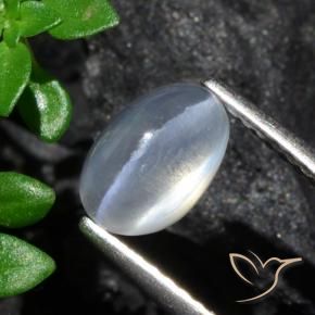 Sillimanita Olho de Gato Claro Natural 1.70ct, oval, Transparente