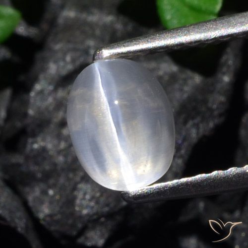 1.61ct Natural Claro Sillimanita Olho de Gato, oval, Transparente
