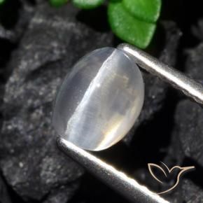 Sillimanita Olho de Gato Claro Natural 1.61ct, oval, Transparente