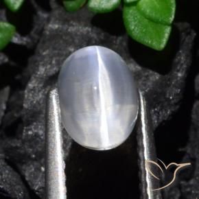 Sillimanita Olho de Gato Claro Natural 1.61ct, oval, Transparente