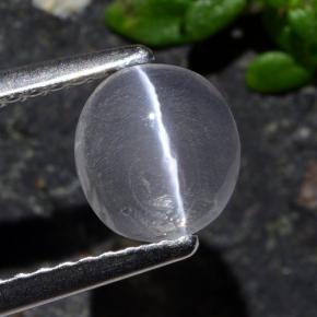 Sillimanite cat's eye cinza natural 1,03ct, corte oval, transparente
