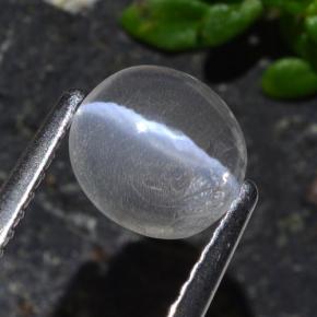 Sillimanite cat's eye cinza natural 1,03ct, corte oval, transparente