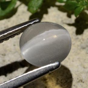 Sillimanita Olho de Gato Fumaça Natural 1.59ct, Corte Redondo, Transparente