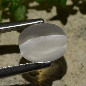 Sillimanita Olho de Gato Fumaça Natural 1.57ct, Corte Oval, Transparente