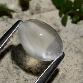 Sillimanita Olho de Gato Branco claro Natural 1.44ct, oval, Transparente