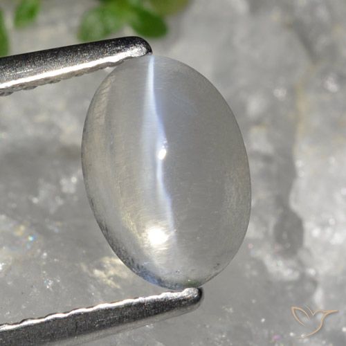 1.49ct Natural Cinza muito claro Sillimanita Olho de Gato, oval, Transparente