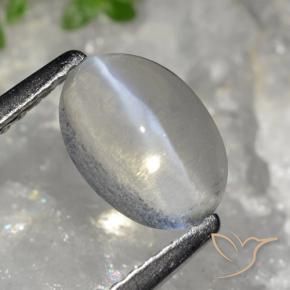 Sillimanita Olho de Gato Cinza muito claro Natural 1.49ct, oval, Transparente