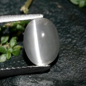 Sillimanite cat's eye cinza natural 1,39ct, corte oval, transparente