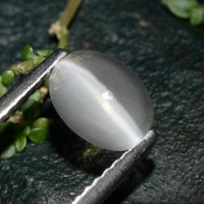 Sillimanite cat's eye cinza natural 1,39ct, corte oval, transparente