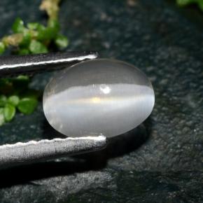Sillimanite cat's eye cinza natural 1,39ct, corte oval, transparente