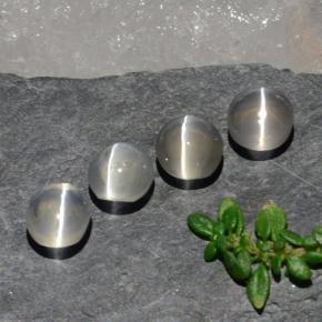 Pedras preciosas de sillimanite cat's eye branco natural de 3,82 ct, corte oval, transparente