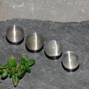 Pedras preciosas de sillimanite cat's eye branco natural de 3,82 ct, corte oval, transparente