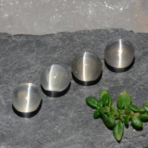 Pedras preciosas de sillimanite cat's eye branco natural de 3,82 ct, corte oval, transparente