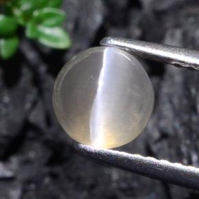 Sillimanite cat's eye cinza natural 1,74ct, corte redondo, translúcido
