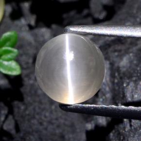 Sillimanite cat's eye cinza natural 1,74ct, corte redondo, translúcido
