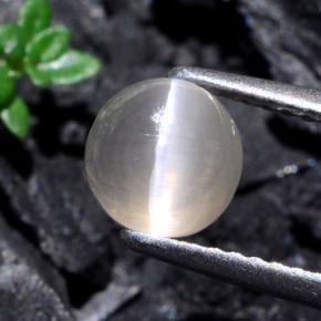 Sillimanite cat's eye cinza natural 1,74ct, corte redondo, translúcido