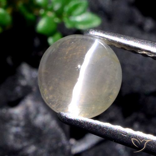 1.53ct Natural branco quente Sillimanita Olho de Gato, Redondo, Translúcido