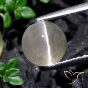 Sillimanita Olho de Gato branco quente Natural 1.53ct, Redondo, Translúcido