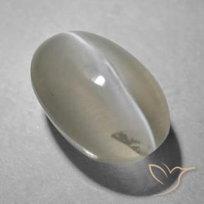 Sillimanita Olho de Gato Cinza muito claro Natural 1.41ct, oval, Transparente