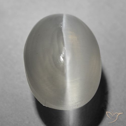 1.63ct Natural Cinza muito claro Sillimanita Olho de Gato, oval, Transparente