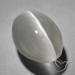 Sillimanita Olho de Gato Cinza muito claro Natural 1.63ct, oval, Transparente