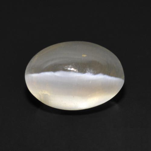 Sillimanite cat's eye cinza natural 1,17ct, corte oval, transparente