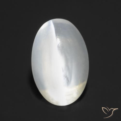 Sillimanita Olho de Gato branco translúcido Natural 1.27ct, oval, Transparente