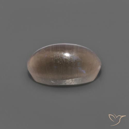 Sillimanita Olho de Gato Castanho médio Natural 1.12ct, oval, Transparente