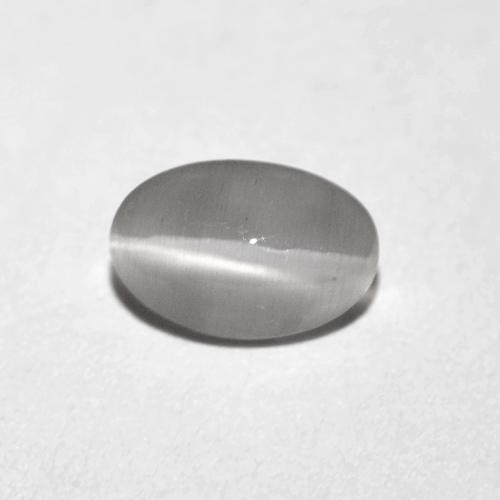 Sillimanita Olho de Gato Cinza muito claro Natural 0.74ct, Corte Oval, Transparente