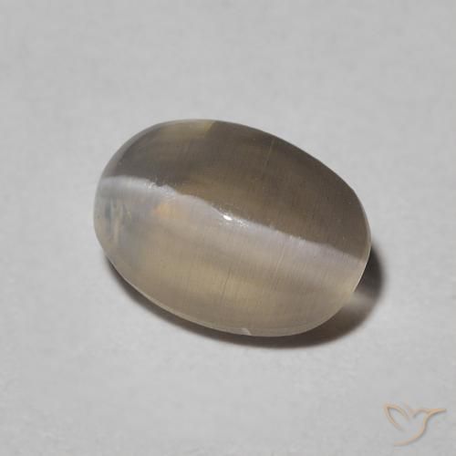 Sillimanita Olho de Gato Warm Grey Natural 1.09ct, oval, Translúcido
