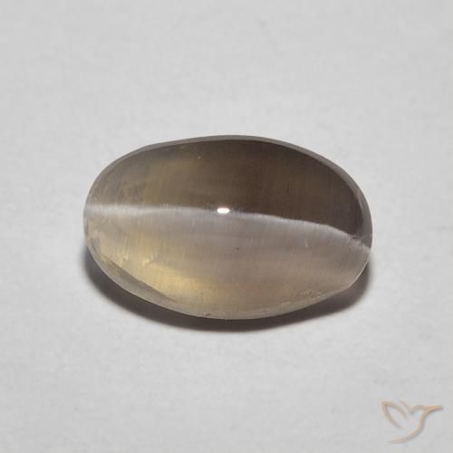 1.20ct Natural Espresso Marrom Sillimanita Olho de Gato, oval, Translúcido