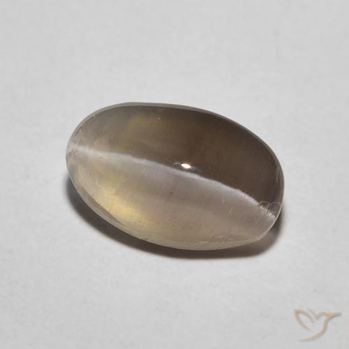 Sillimanita Olho de Gato Espresso Marrom Natural 1.20ct, oval, Translúcido