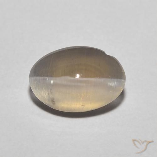 1.11ct Natural marrom neutro Sillimanita Olho de Gato, oval, Translúcido