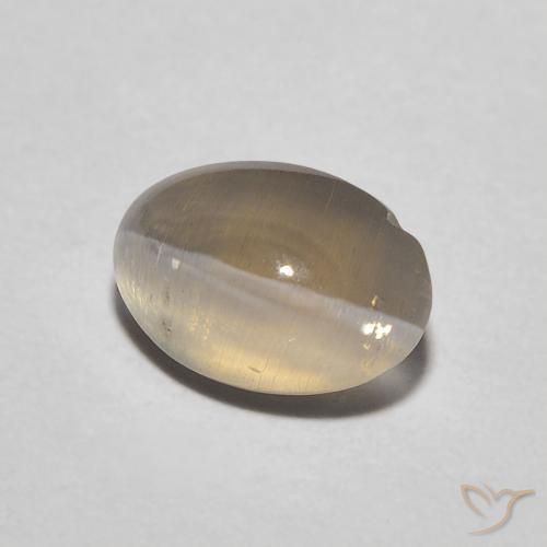 Sillimanita Olho de Gato marrom neutro Natural 1.11ct, oval, Translúcido
