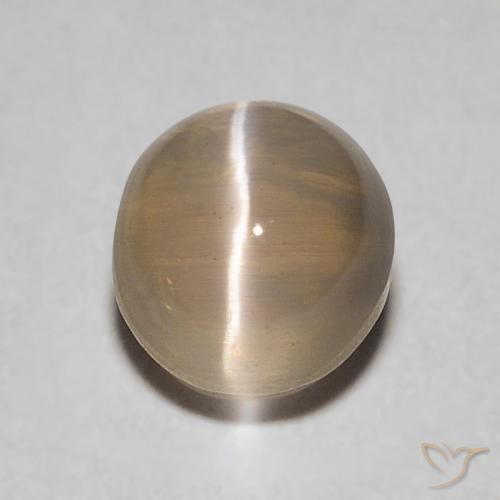 0.86ct Natural Castanho médio Sillimanita Olho de Gato, oval, Transparente