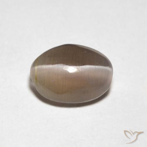 0.88ct Natural Castanho médio Sillimanita Olho de Gato, oval, Transparente