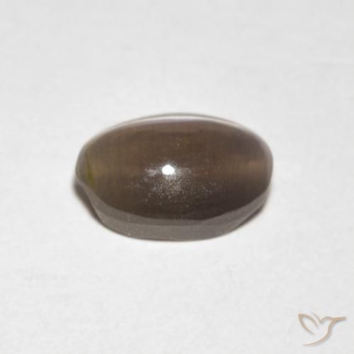 Sillimanita Olho de Gato Castanho médio Natural 0.88ct, oval, Transparente