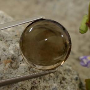Quartzo fumê marrom natural 5,63ct, corte redondo, transparente