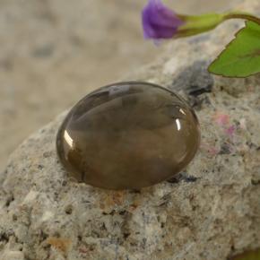 Quartzo fumê marrom natural 5,63ct, corte redondo, transparente