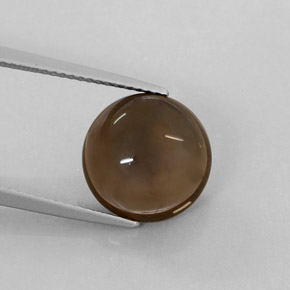 Quartzo fumê marrom natural 6,22ct, transparente, transparente/translúcido