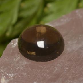 Quartzo fumê marrom natural 6,82ct, corte redondo, transparente